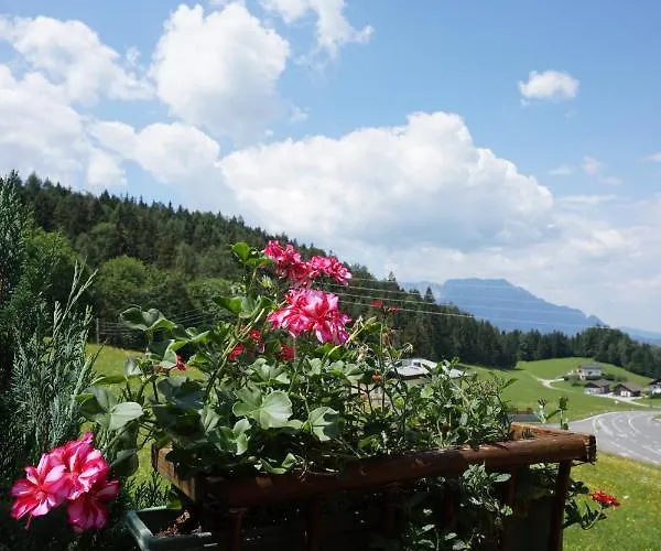 Monika 木屋 圣科罗曼